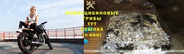 стаф Балахна
