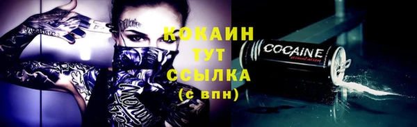 стаф Балахна