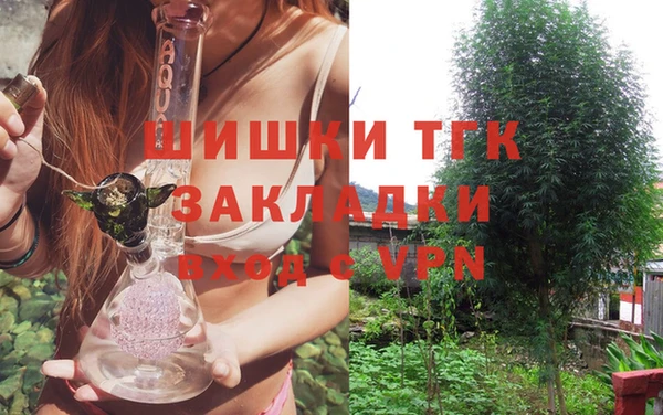 стаф Балахна
