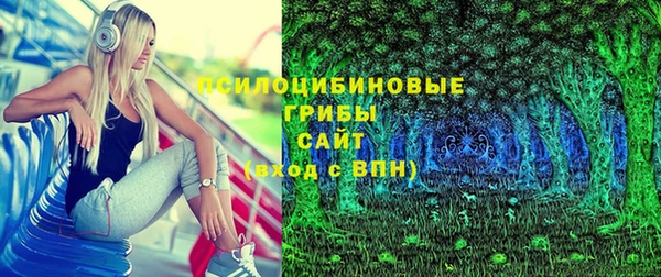 стаф Балахна