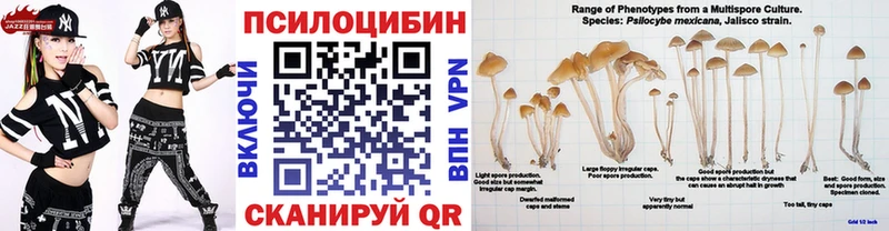 Псилоцибиновые грибы Psilocybine cubensis  Славянск-на-Кубани 
